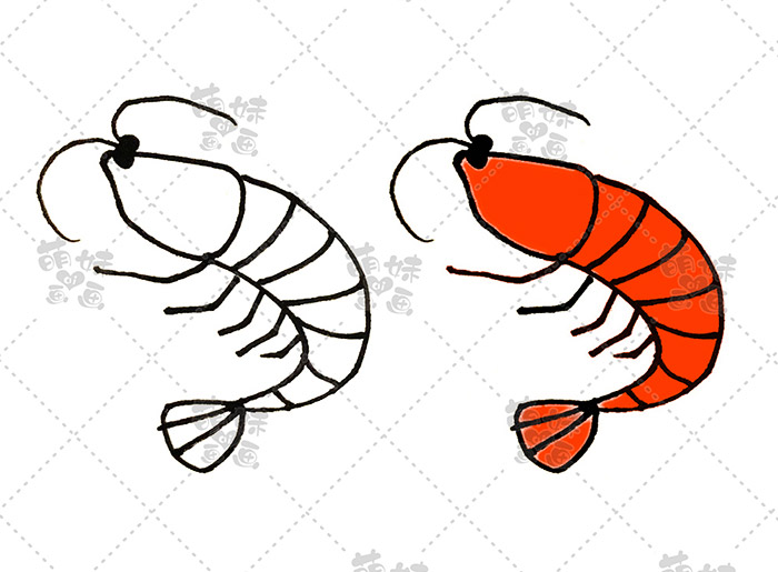 虾蟹简单画法图片